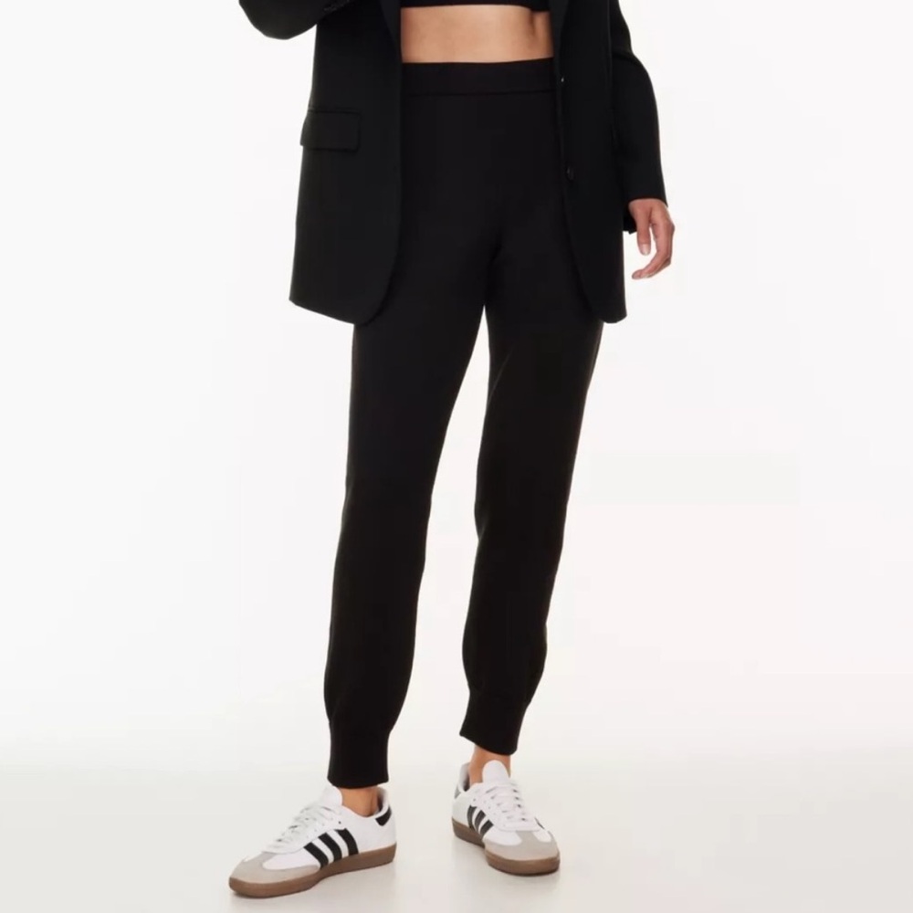 Aritzia Babaton Jogger Trouser